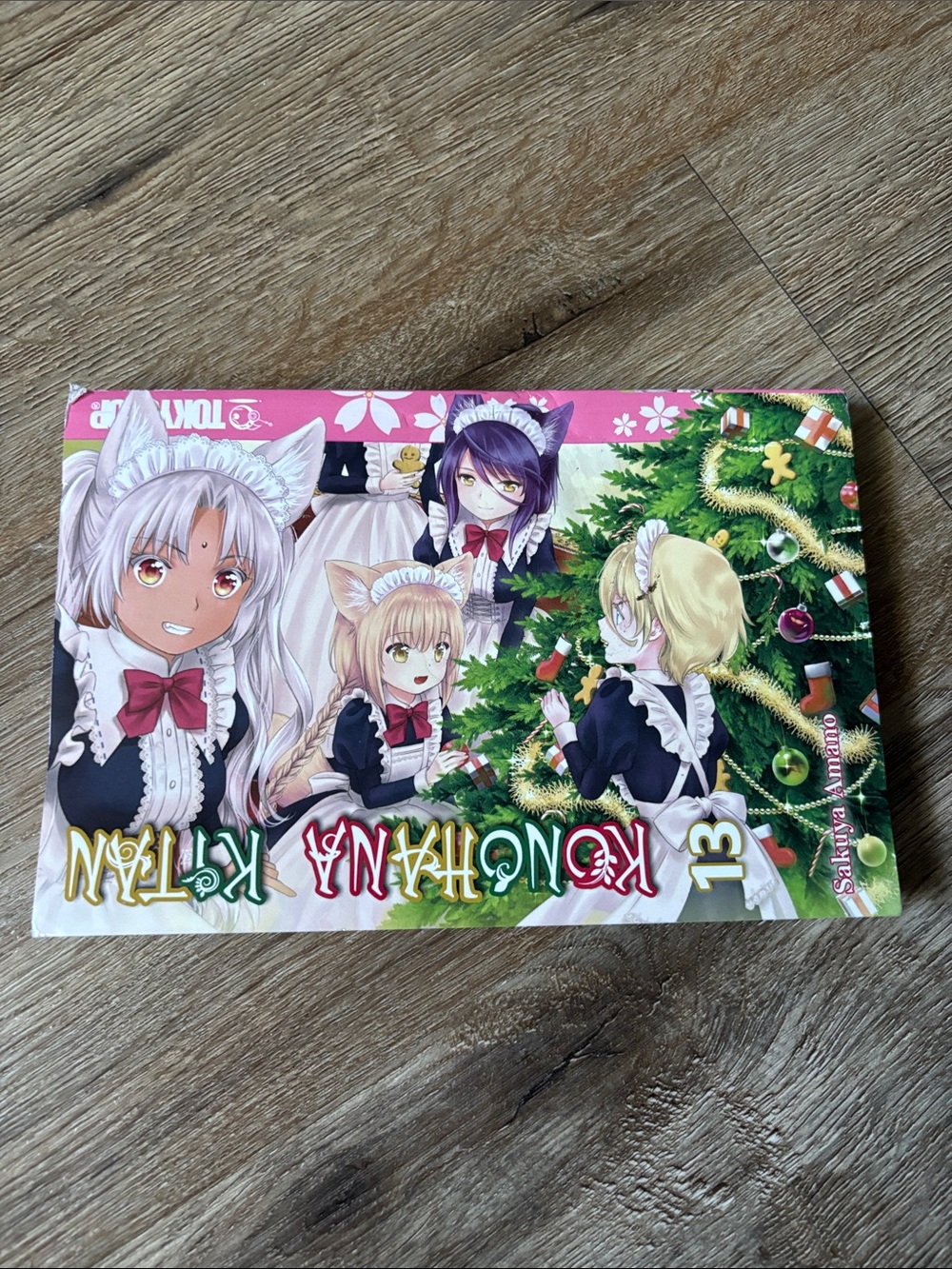 Koneko no Kimochi Vol. 13 Manga - Multicolor Cover